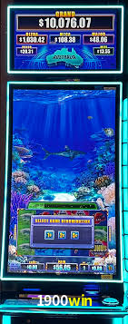 Bônus Diários 1900win